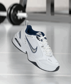 Nike Performance AIR MONARCH IV - Chaussures fitness